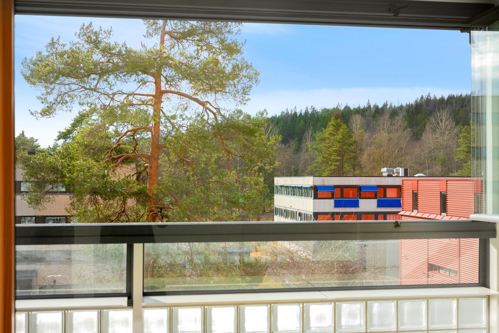 Utsikt. Galleribilde