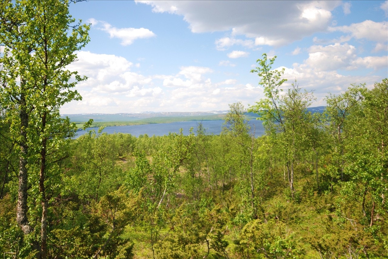 For den skiglade kan man nyte fine turer i flott natur. Galleribilde