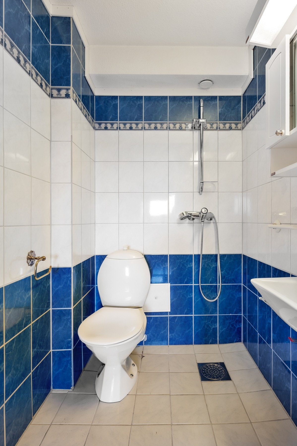 Badet har både toalett og dusj. Galleribilde