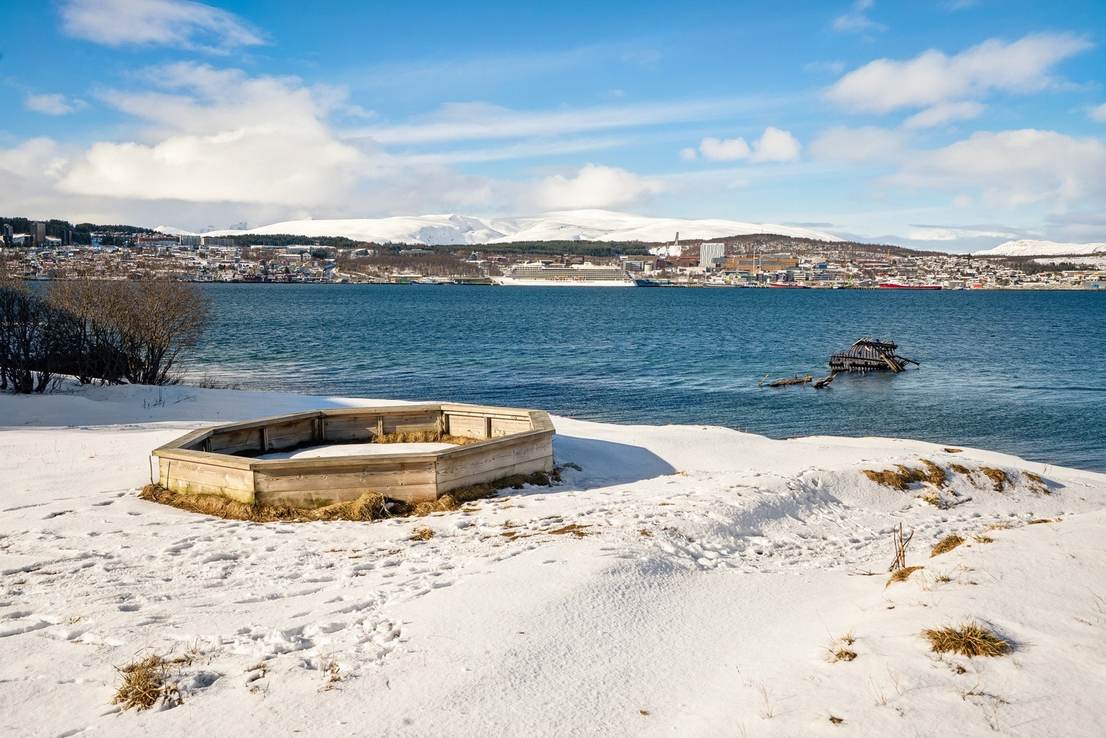 Flott friområde ved havet Galleribilde
