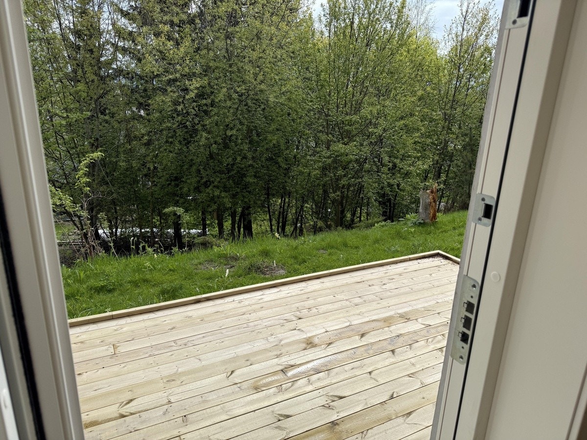 Utsikt utover fra terrassen. Et lite skogholt. Galleribilde