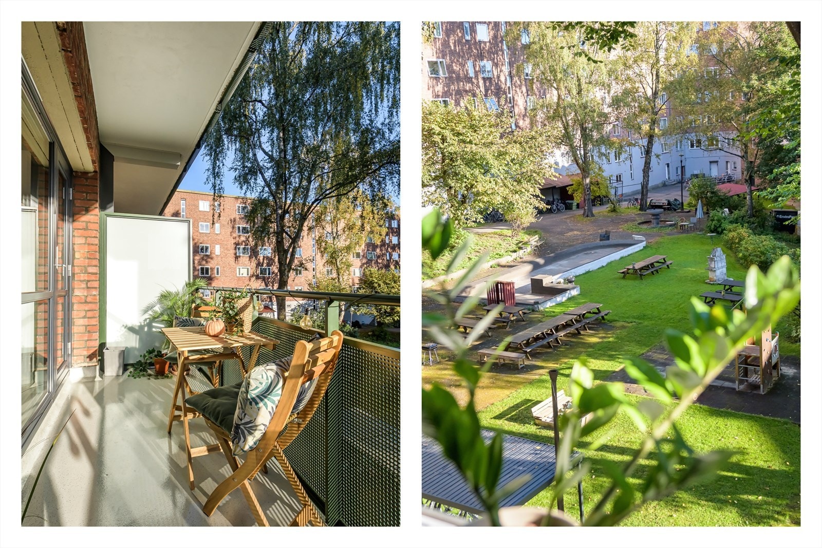 Ingen innsyn og pent utsyn - Her bor du usjenert Galleribilde