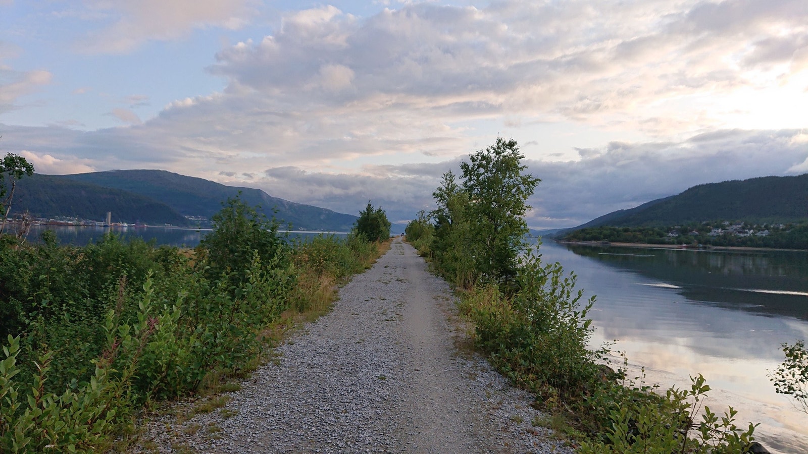 Sommer på moloen Galleribilde