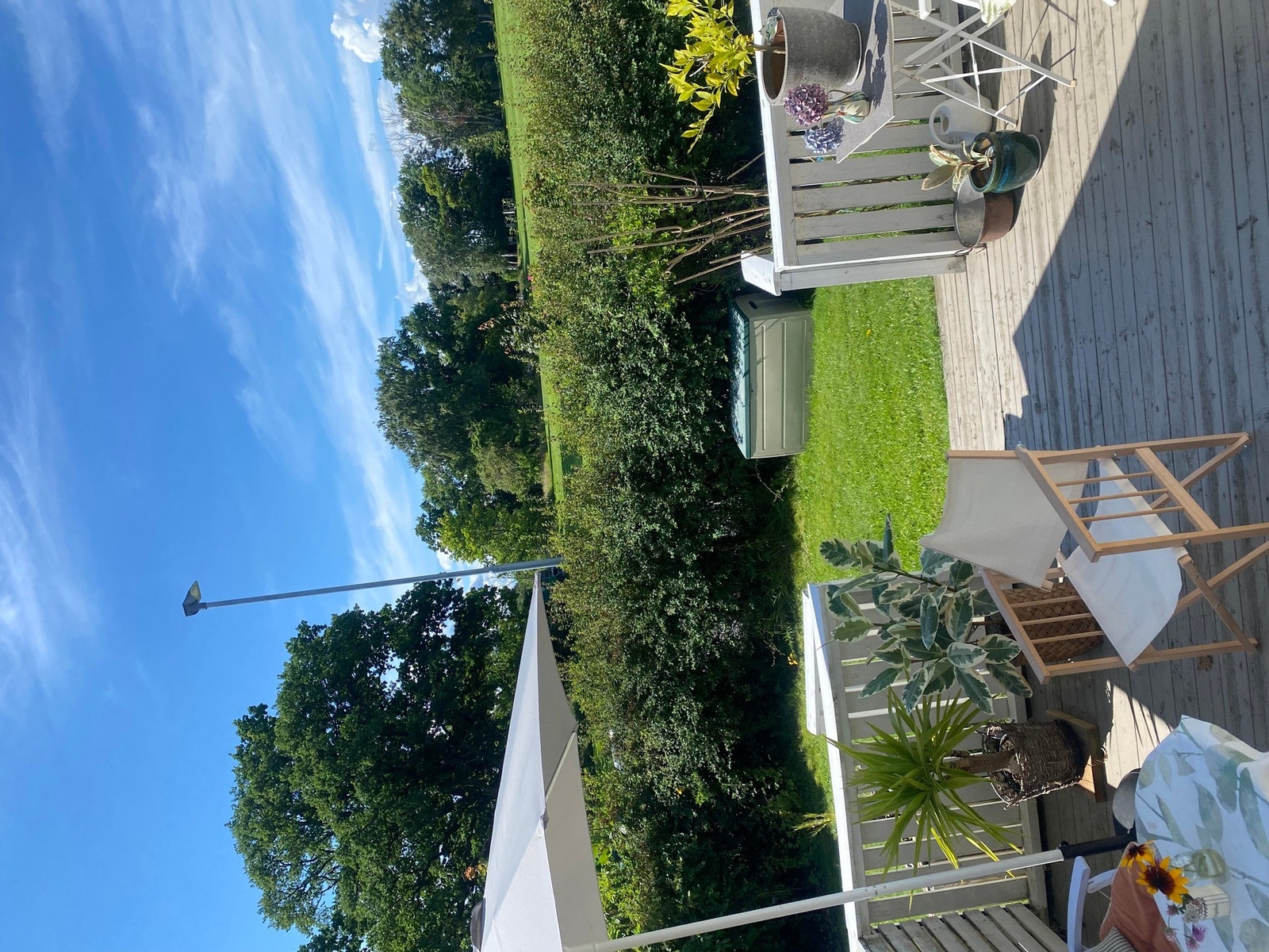Privat sommerbilde. Galleribilde