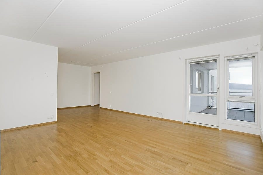 Stue Galleribilde