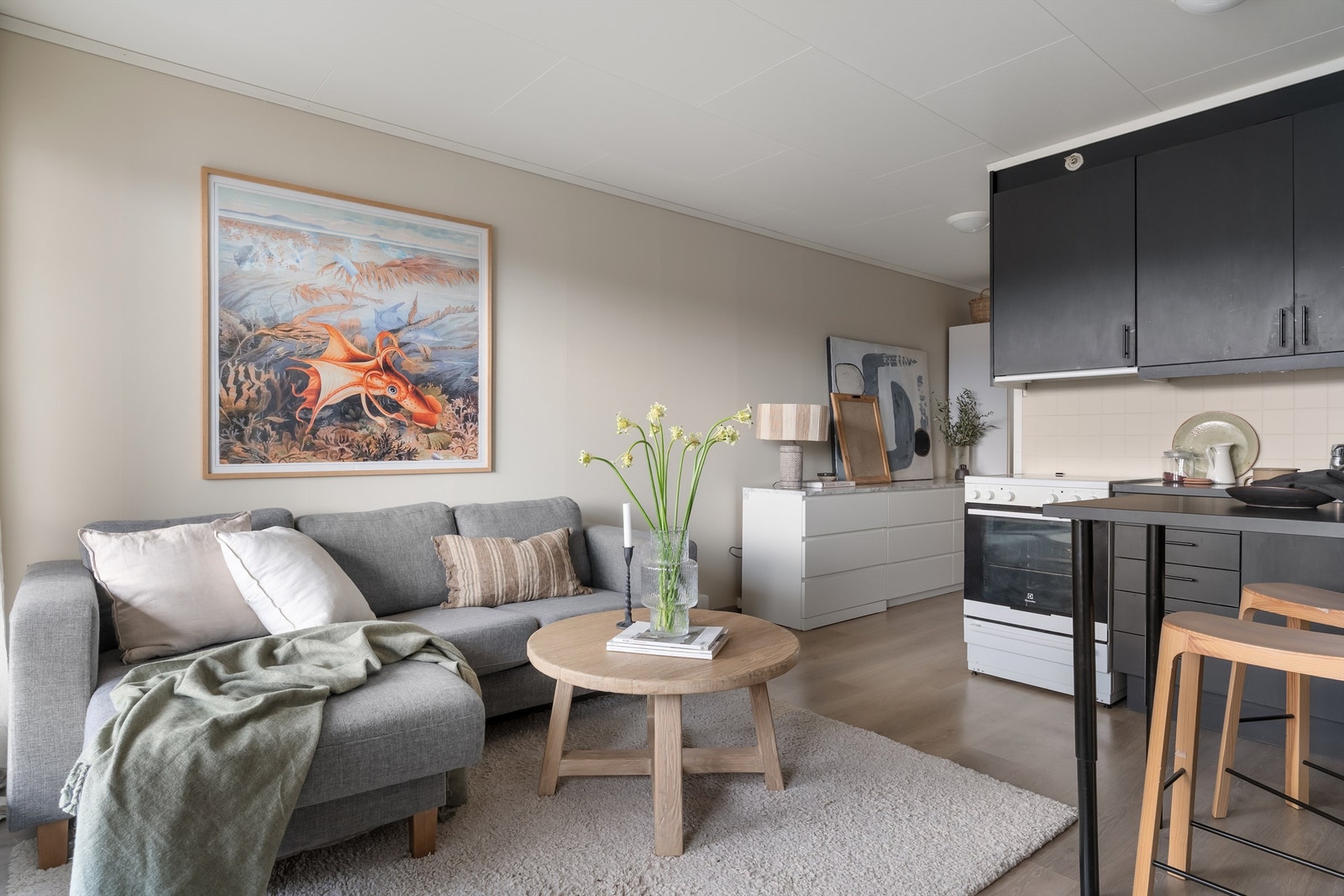 Kjøkkeninnredningen har glatte fronter og en kjøkkenventilator med avtrekk direkte ut. Galleribilde