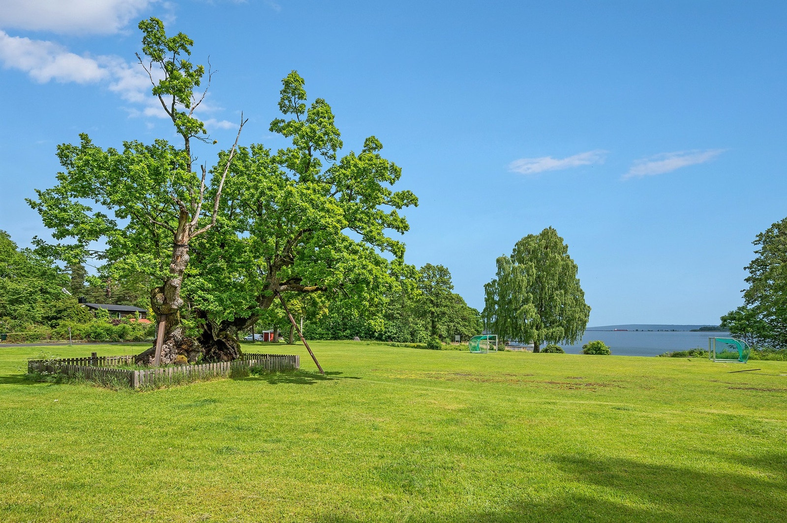 Den majestetiske Tusenårseika er et kjent landemerke i nærområdet - et idyllisk og historisk samlingspunkt omgitt av vakre grøntområder ved sjøen. Galleribilde