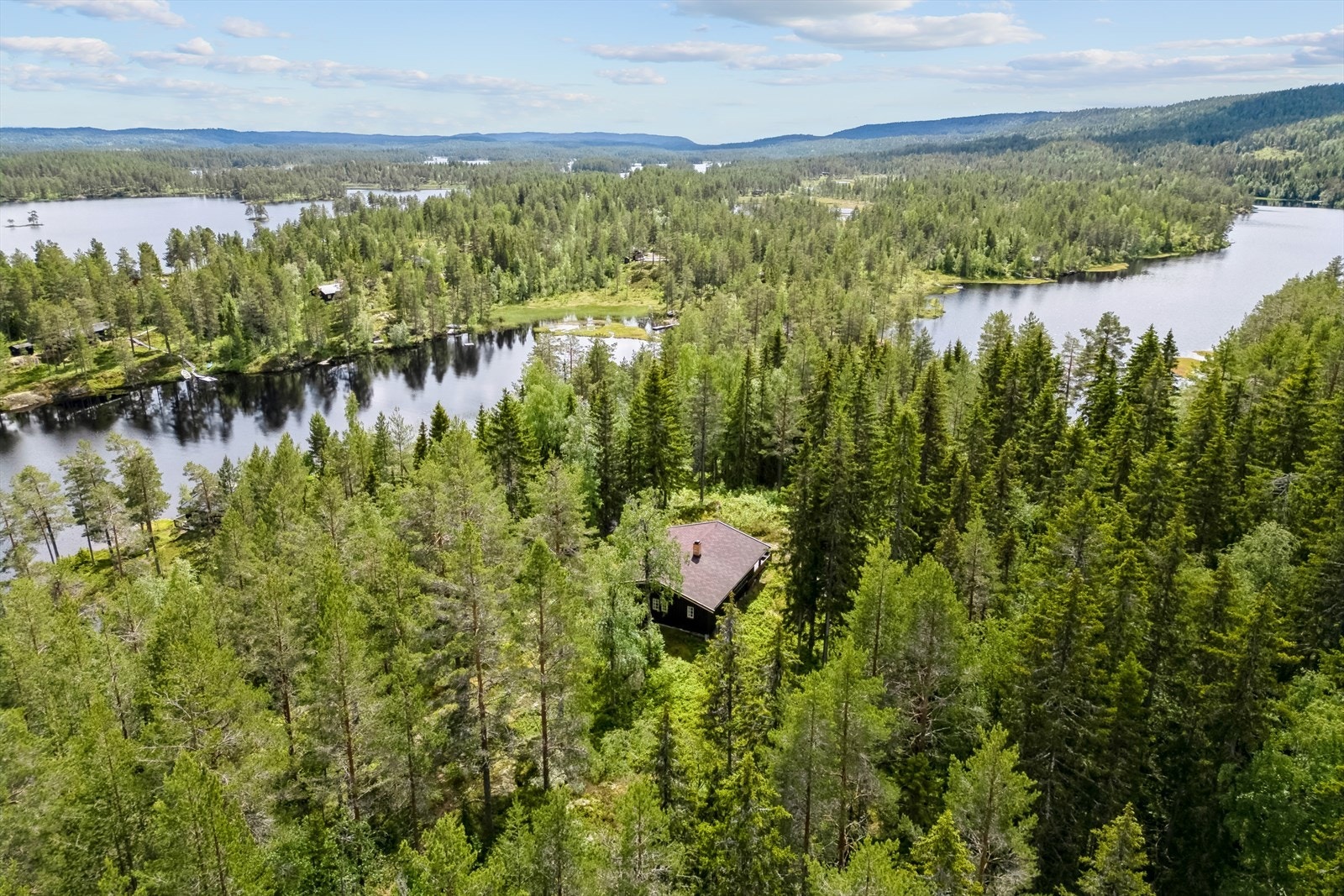 Idylliske skogsvann som henger sammen med smale sund og kanaler. Perfekt for padling på sommeren. Galleribilde