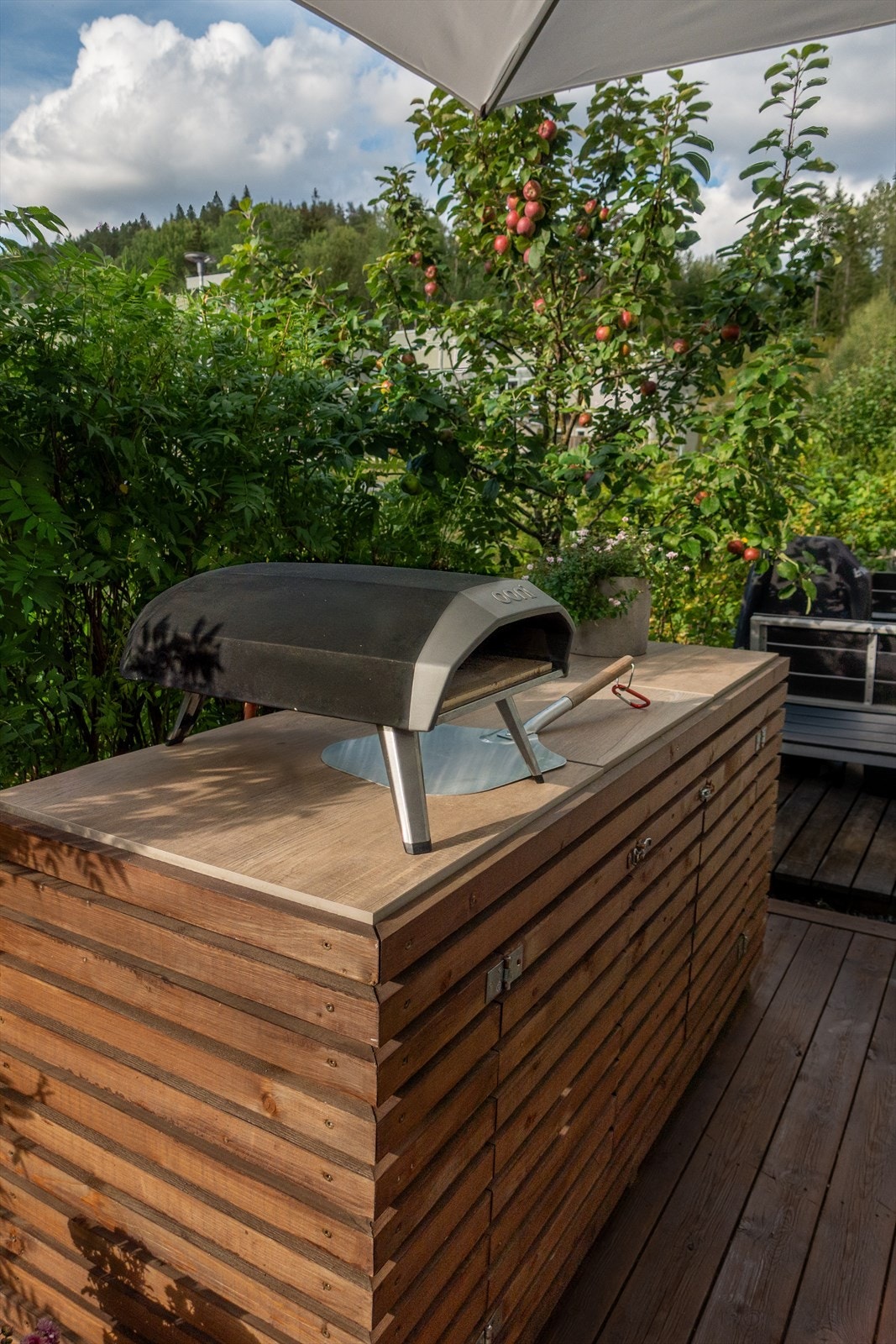 Sommertid på terrassen Galleribilde