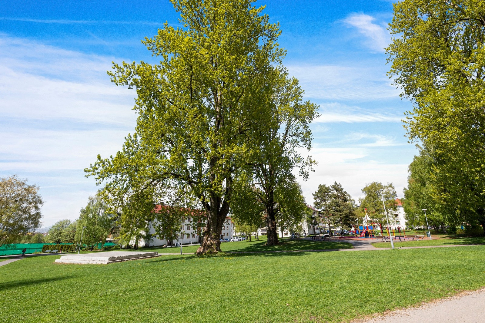 Kort vei til flere tur- og rekreasjonsområdet. Galleribilde
