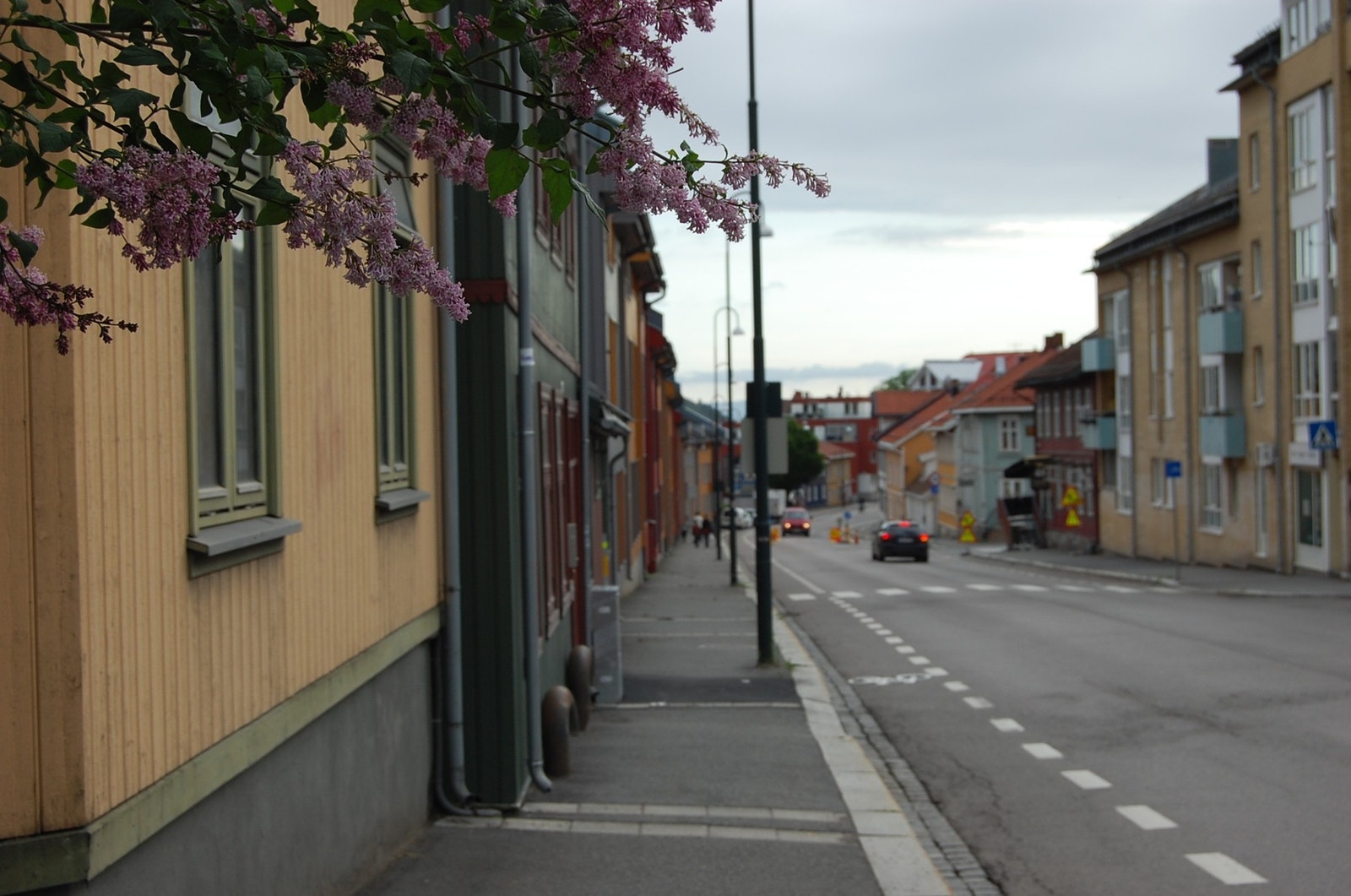 Kort vei til flotte Kampen. Galleribilde