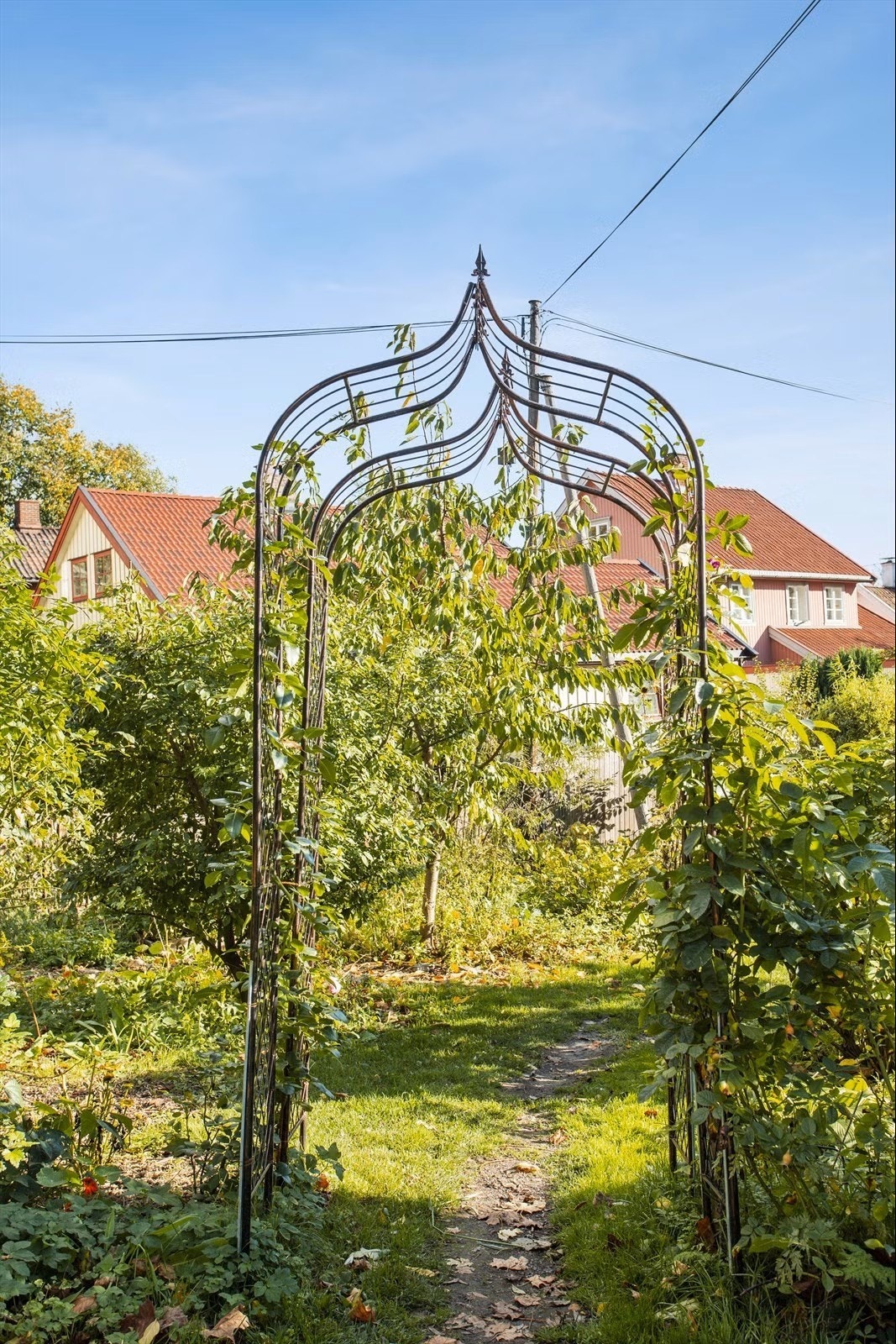 Velkommen inn til hagen på baksiden av bygget. Galleribilde