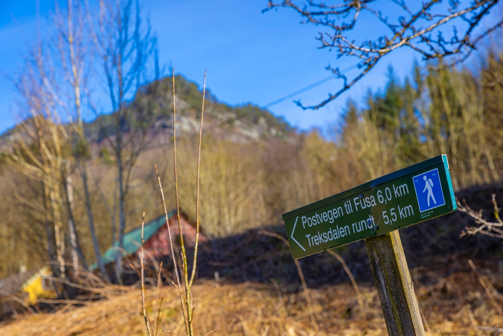 Postvegen fra Strandvik Galleribilde