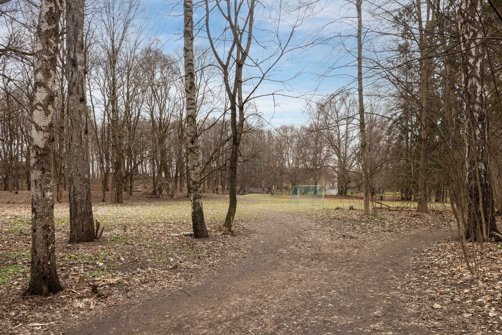 Turstier rett utenfor boligen der du kan gå via Den Engelske Park opp til Frogner parken. Galleribilde