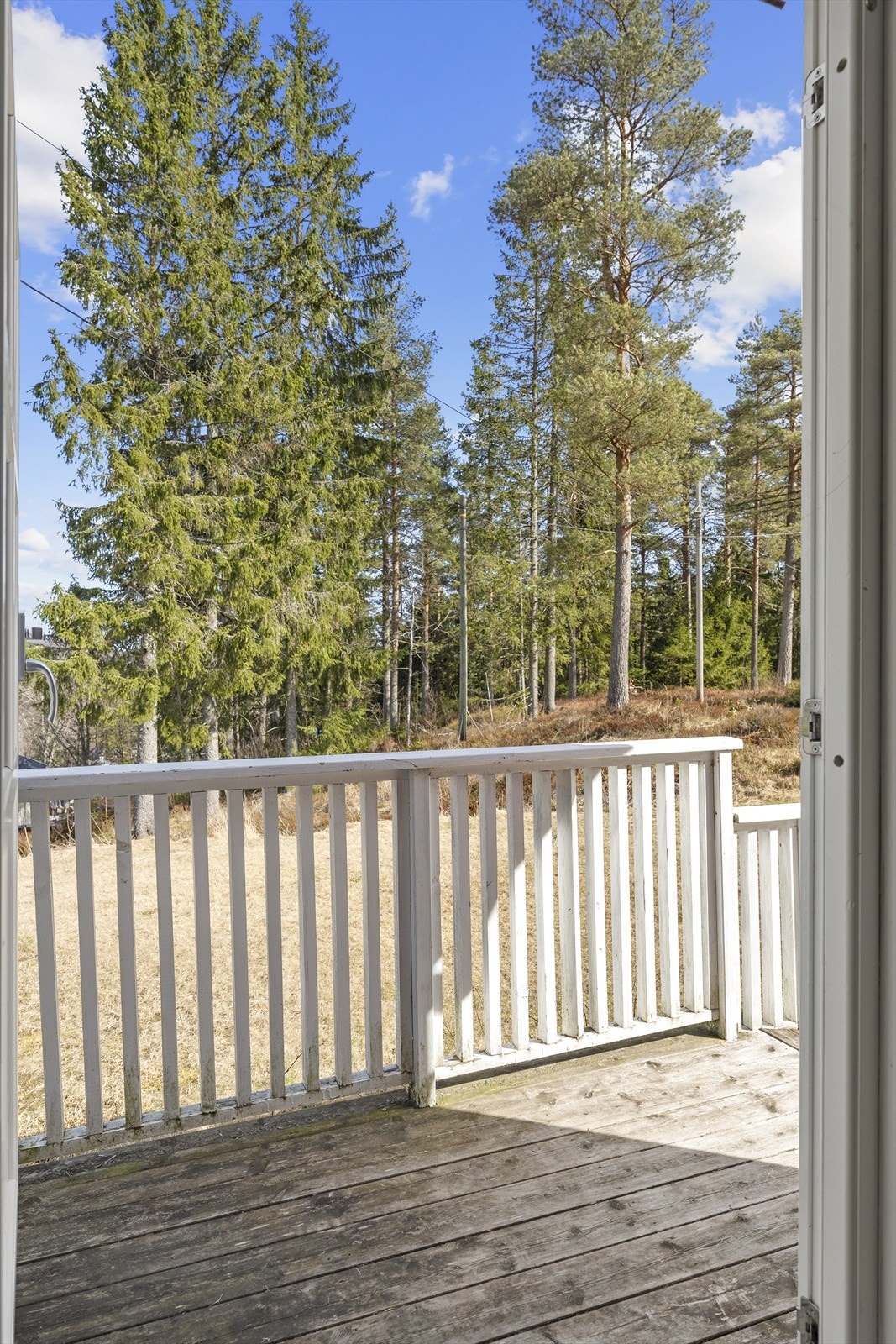 Veranda mot sydøst Galleribilde