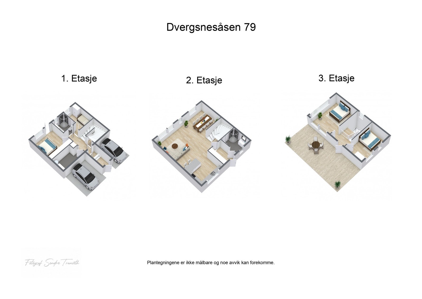 - 3D plantegning (ikke målbart) - Galleribilde