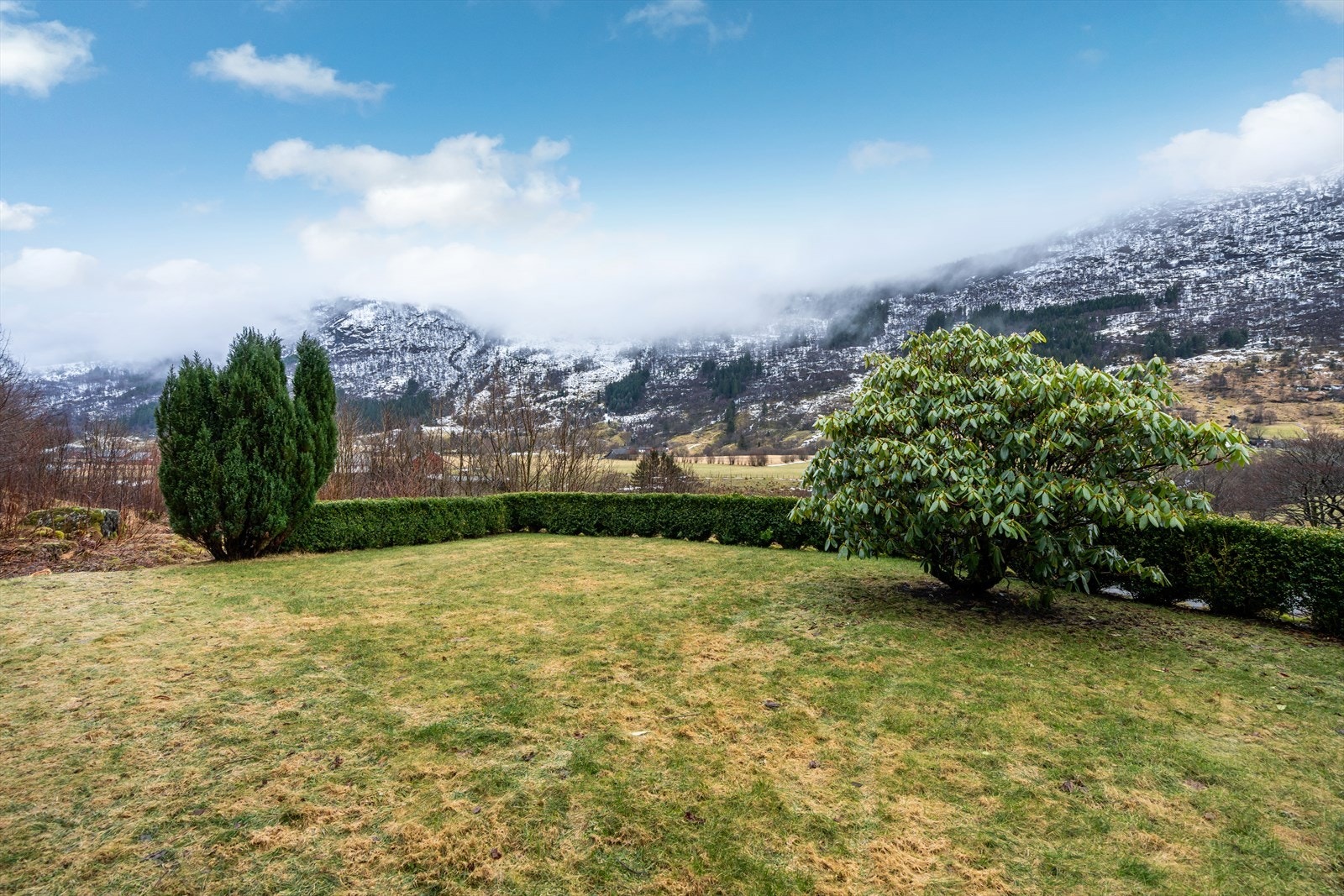 TIM04553 Galleribilde