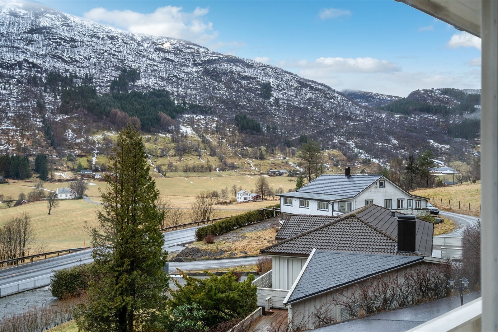 TIM04511 Galleribilde
