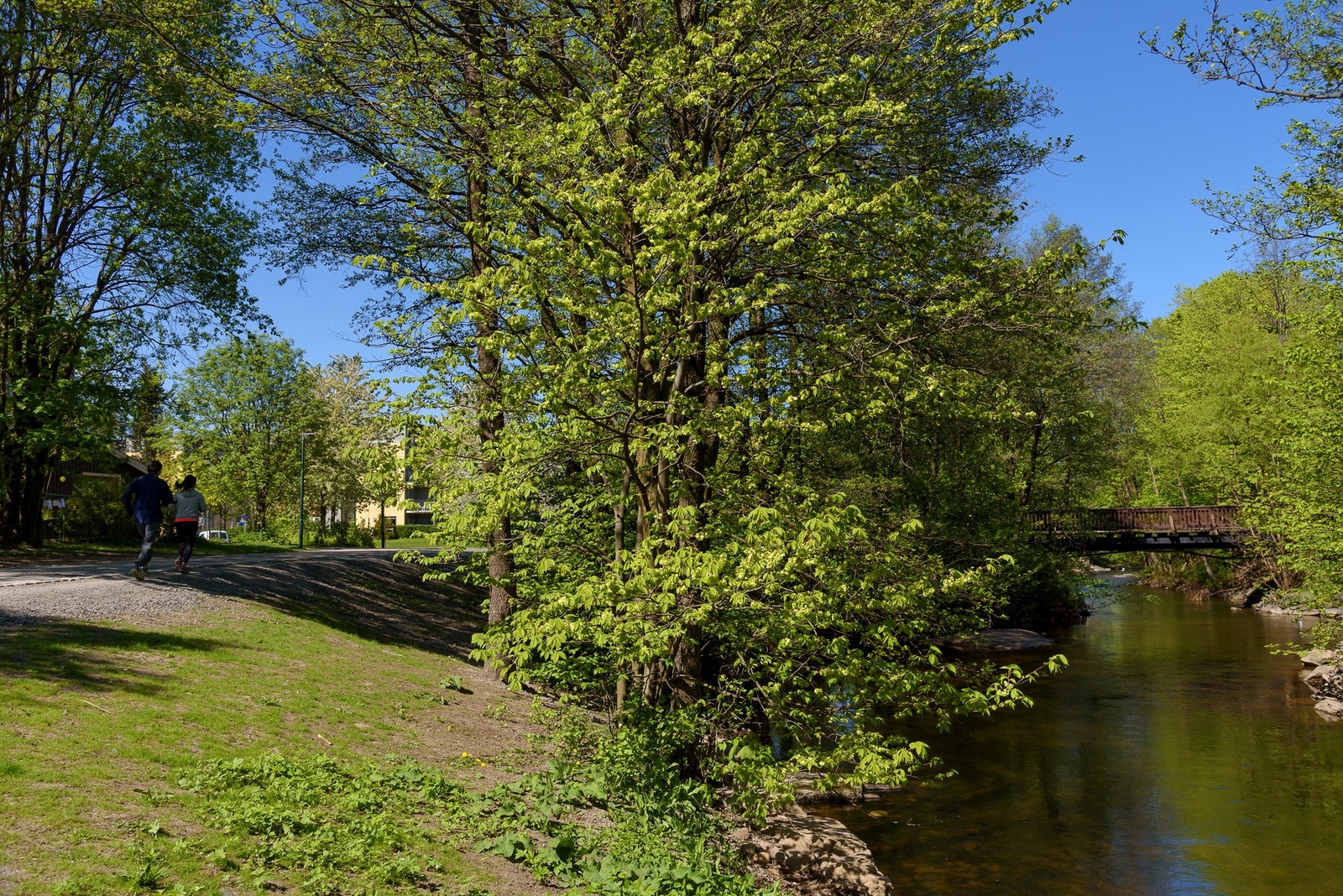 Akerselva renner i nærheten og gir fantastiske turmuligheter, enten du følger elven oppover mot Maridalsvannet, eller nedover mot sentrum og Oslofjorden. Galleribilde