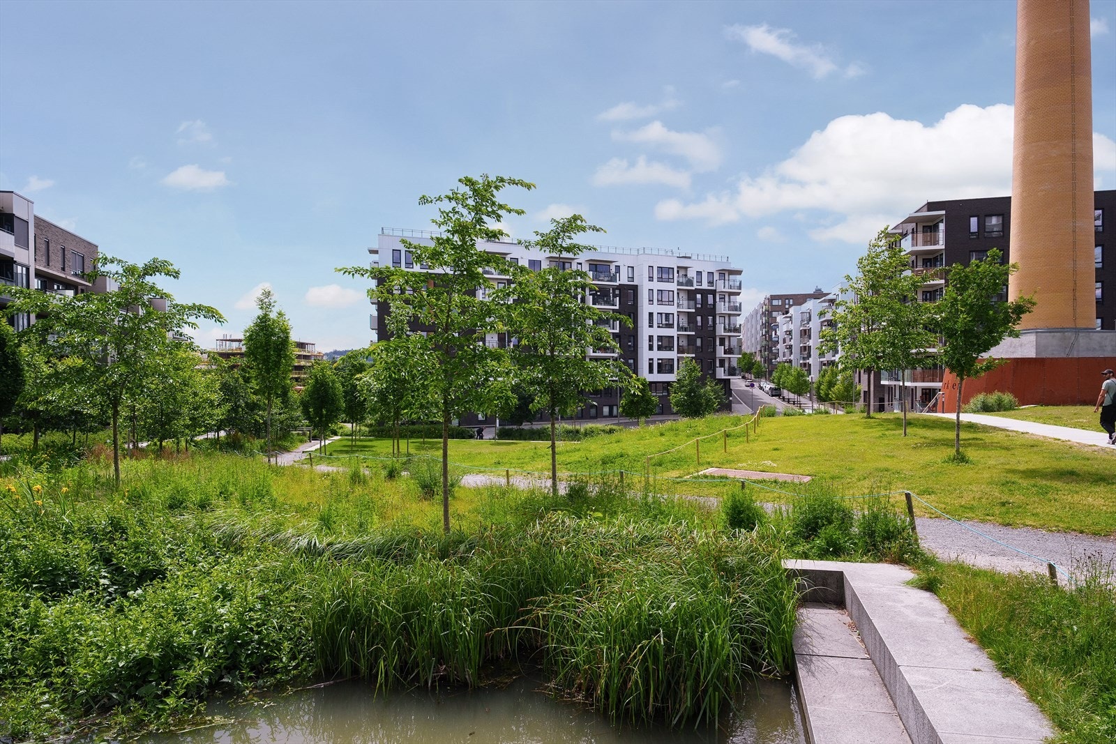 Tiedemannsparken Galleribilde
