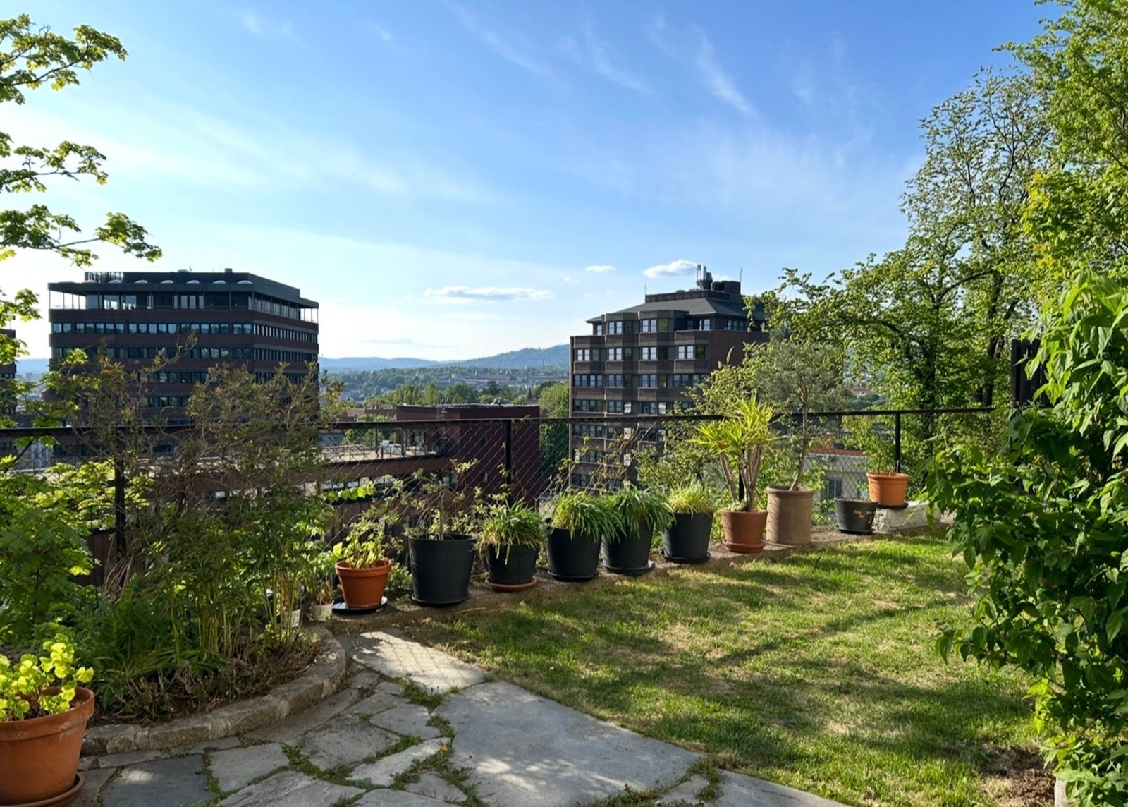 Selgers egne bilder av bakgården. Galleribilde