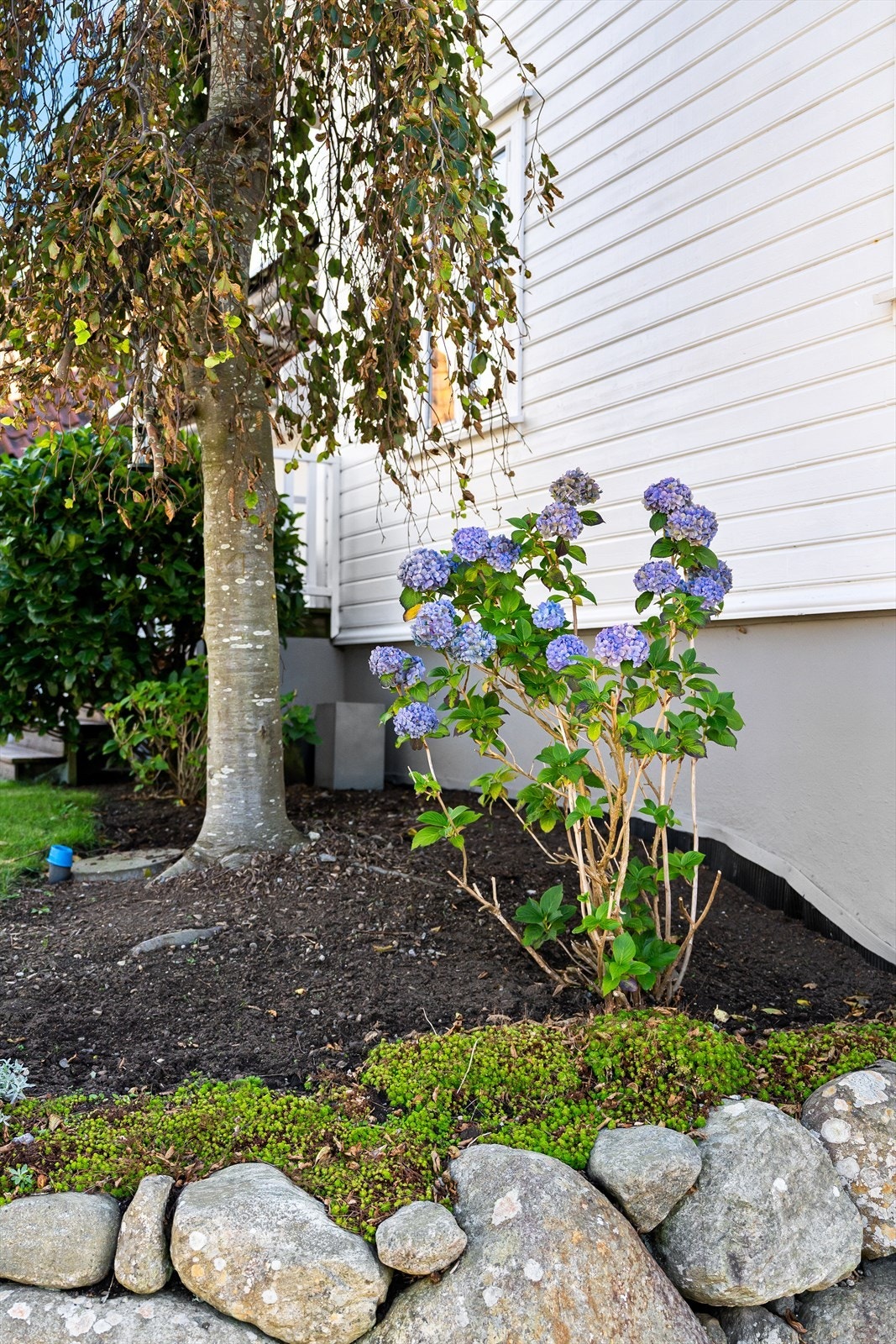 Flott beplantning rundt om på eiendommen Galleribilde