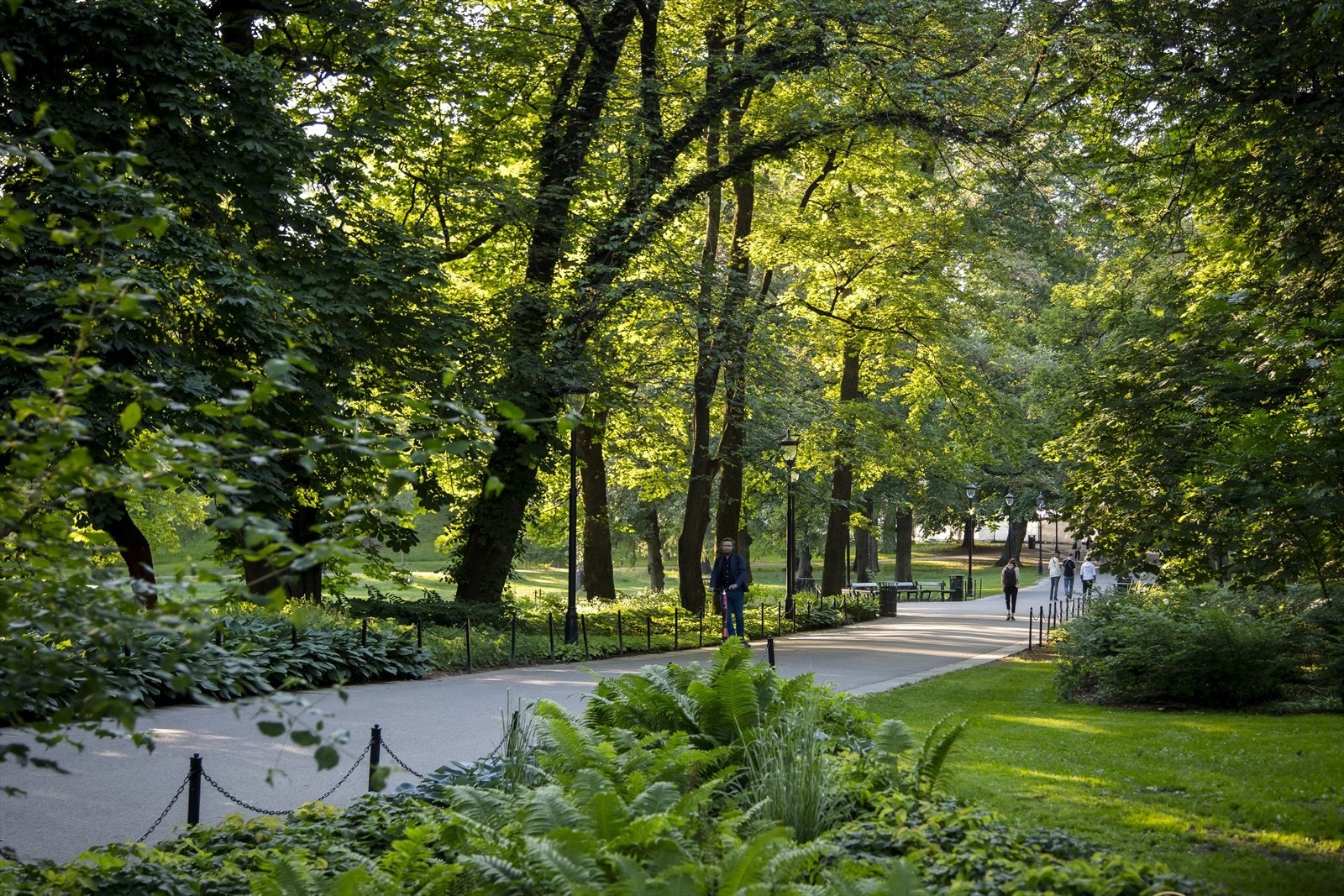Områdebilde - Slottsparken. Galleribilde