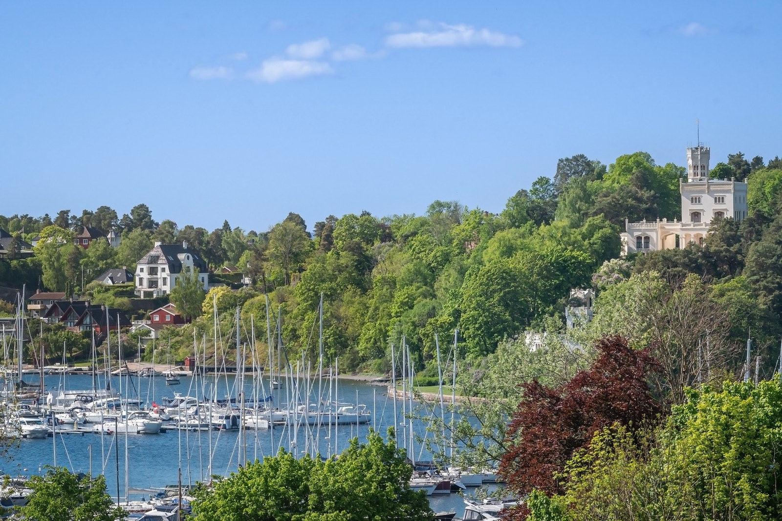 Utsikt. Galleribilde