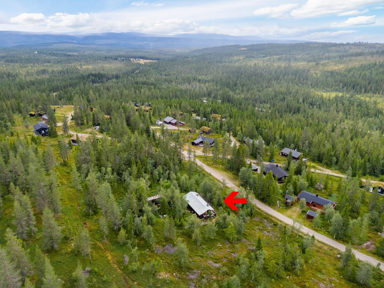 Foto: Bjørnar Fjeldberg Galleribilde