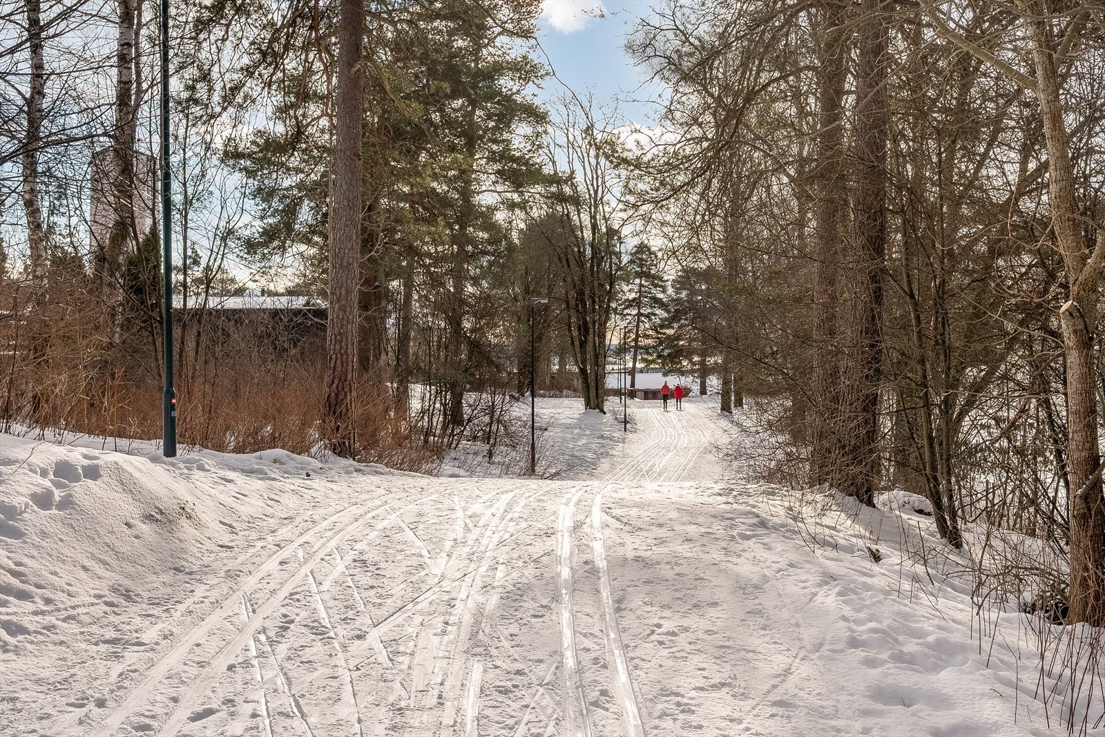 Man kan spenne på seg skiene i egen hage å gå rett ut i skiløypen! Galleribilde