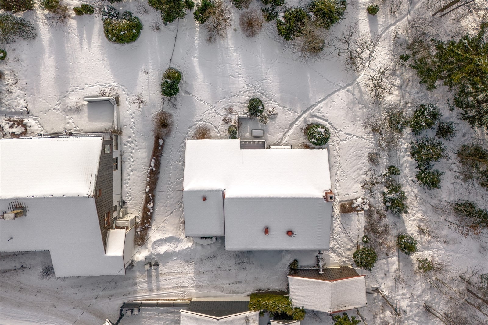 Stor hage med direkte sti ut i marka Galleribilde