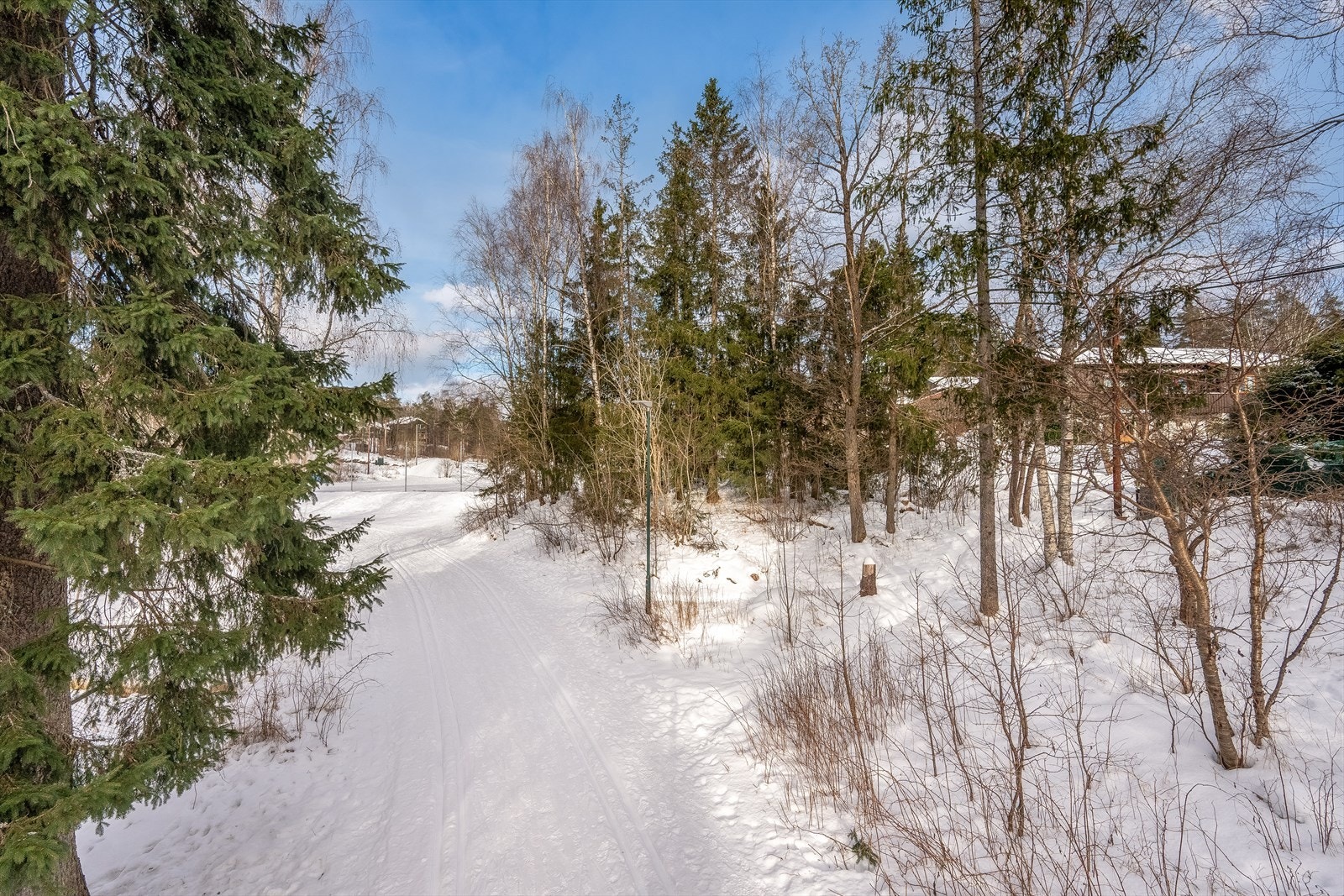 Direkte sti ut i marka/skiløypen Galleribilde