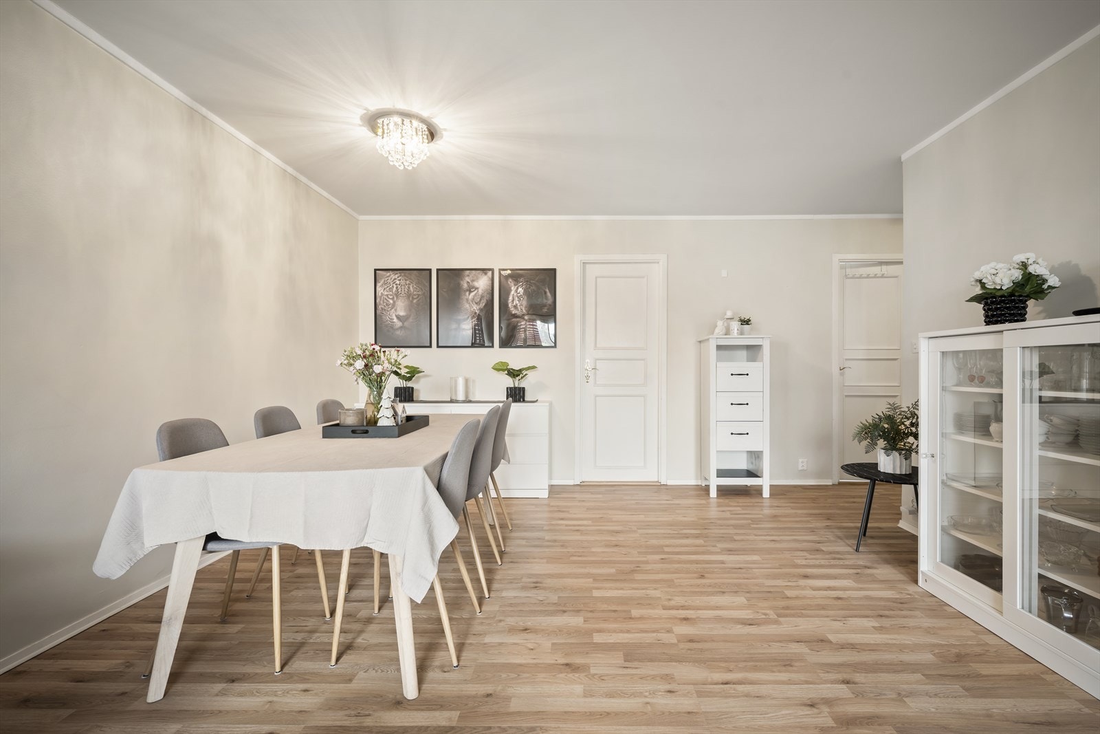 Velkommen til visning! Galleribilde