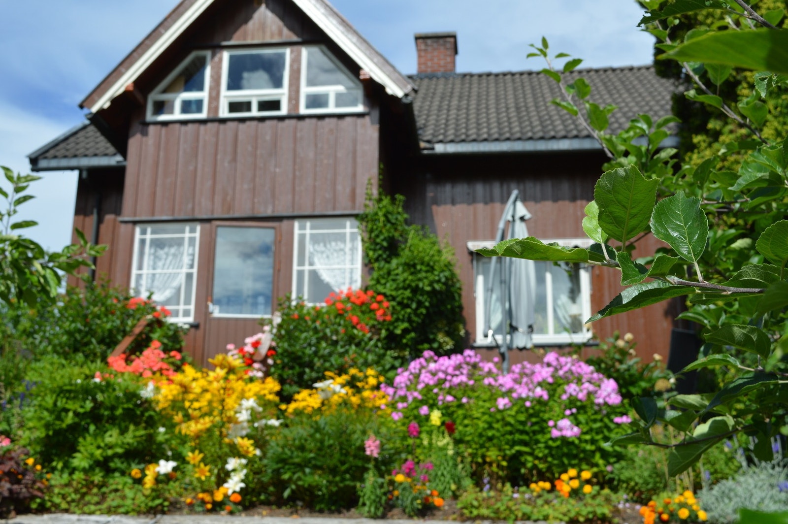 Foto: Selger Galleribilde