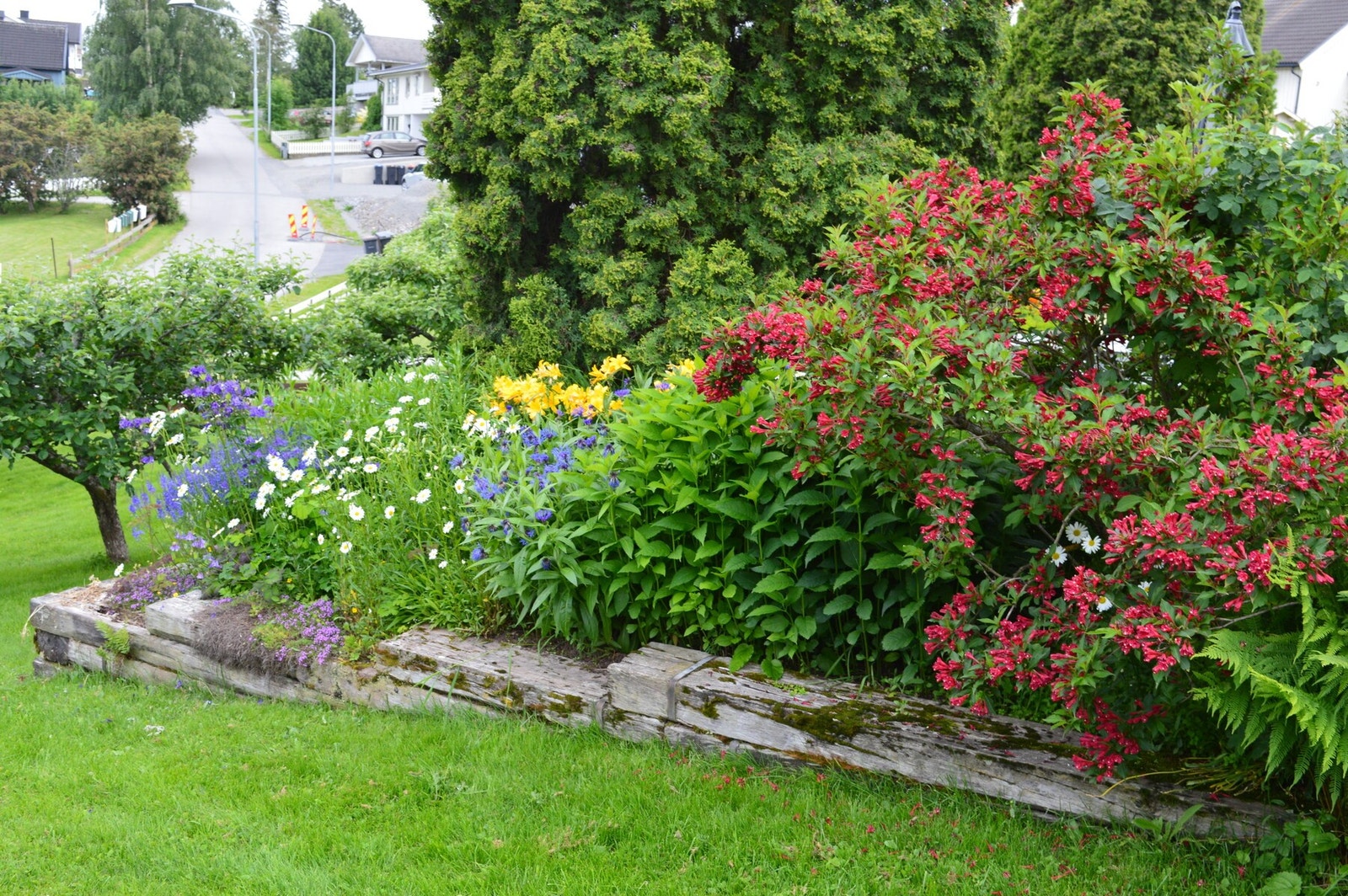 Foto: Selger Galleribilde