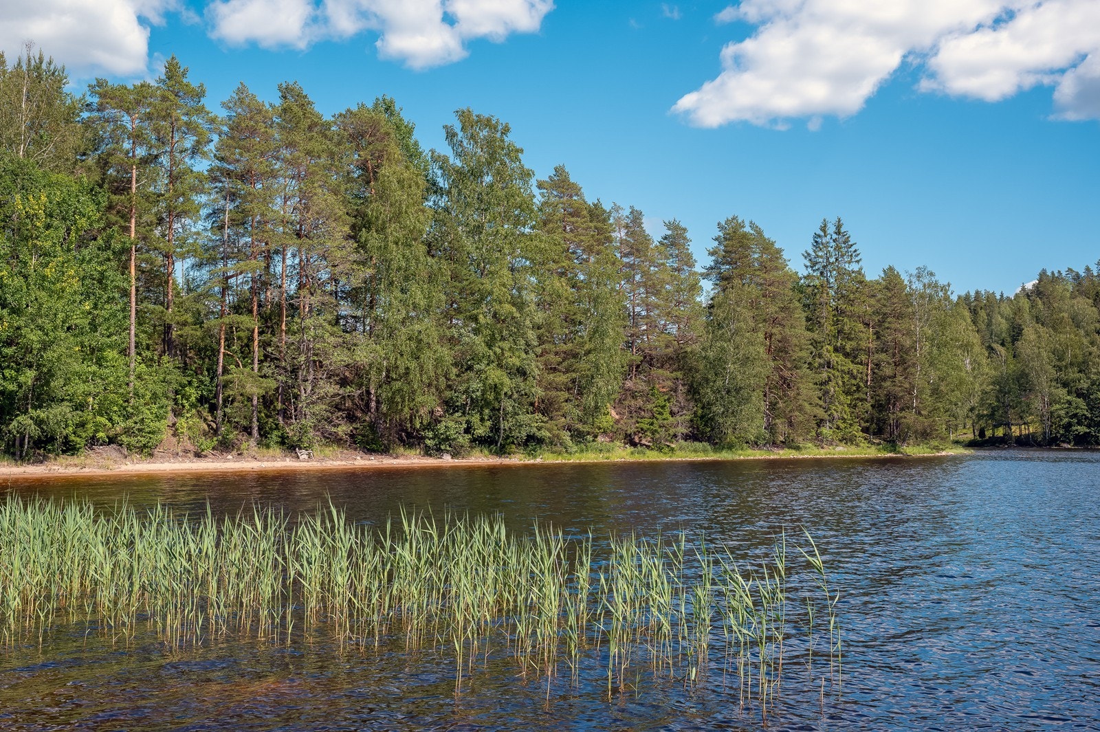 Drøm deg bort i vakker natur. Galleribilde