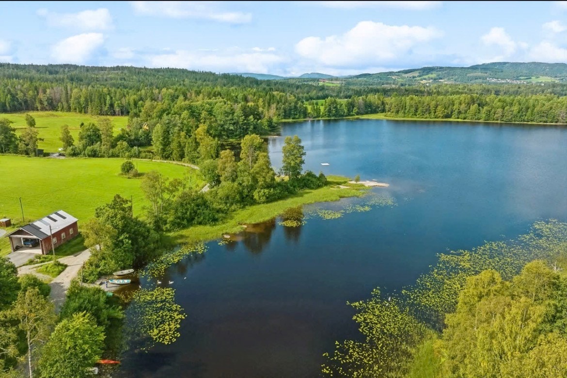 Sjarmerende nærområde med skog, stier og vann like ved. Galleribilde