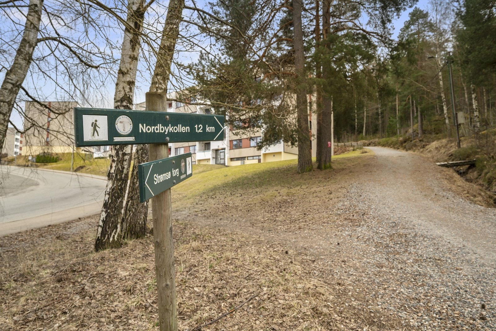 Flotte turmuligheter rett uten døren! Galleribilde