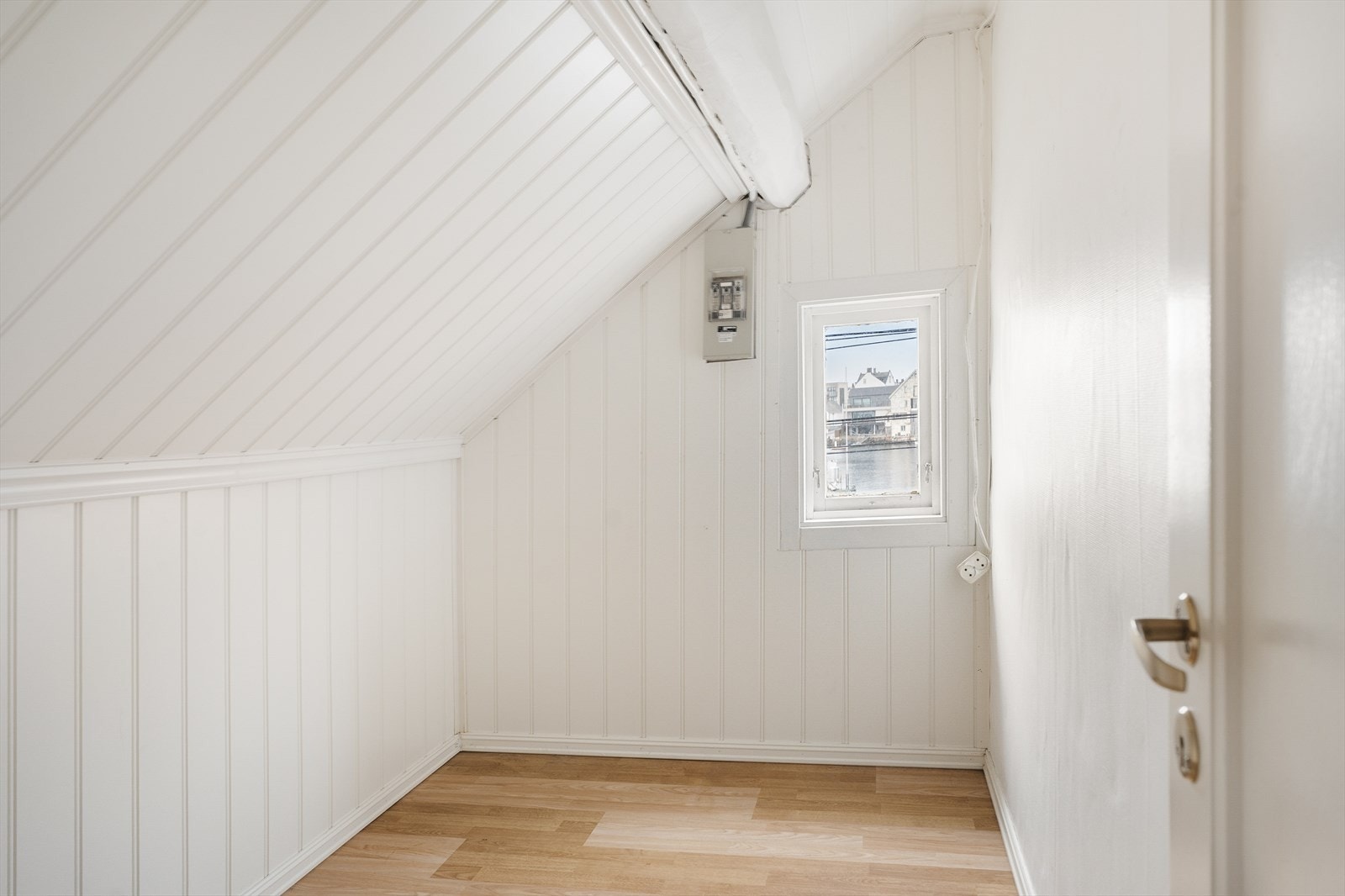 Kott. Galleribilde
