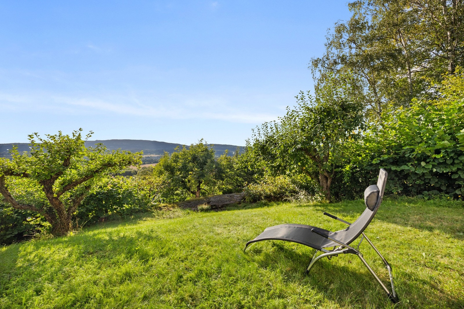 Nyt en stille stund i solen! Galleribilde