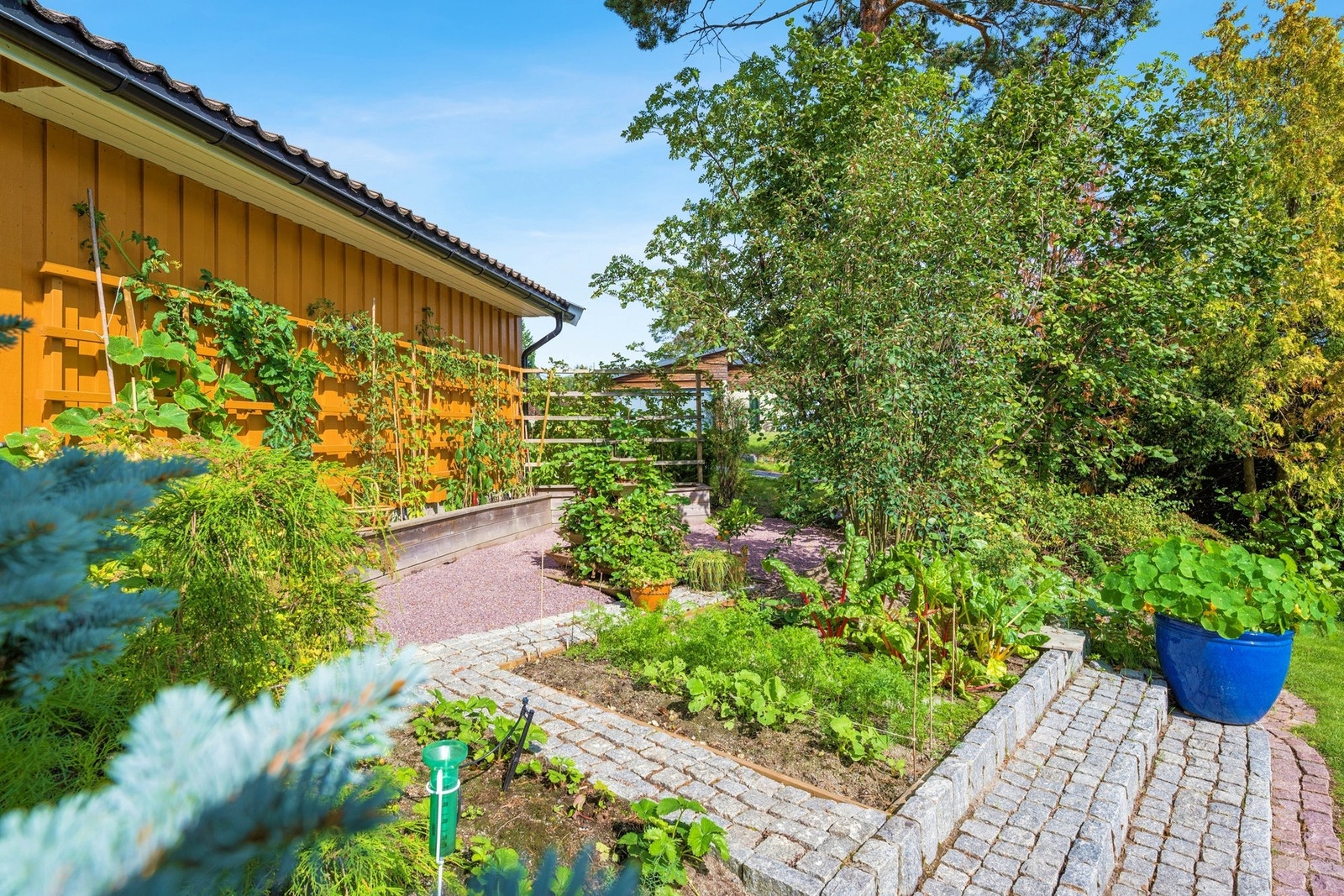 Området gir gode forutsetninger for dyrking av egne grønnsaker og urter. Galleribilde