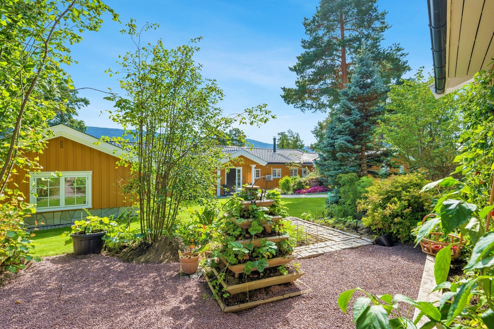 Et hageområde fylt med liv og frodig vekst. Galleribilde