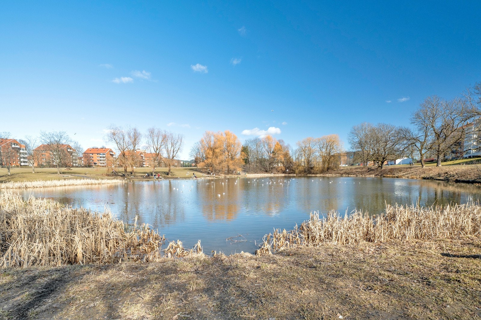 Hovindammen Galleribilde