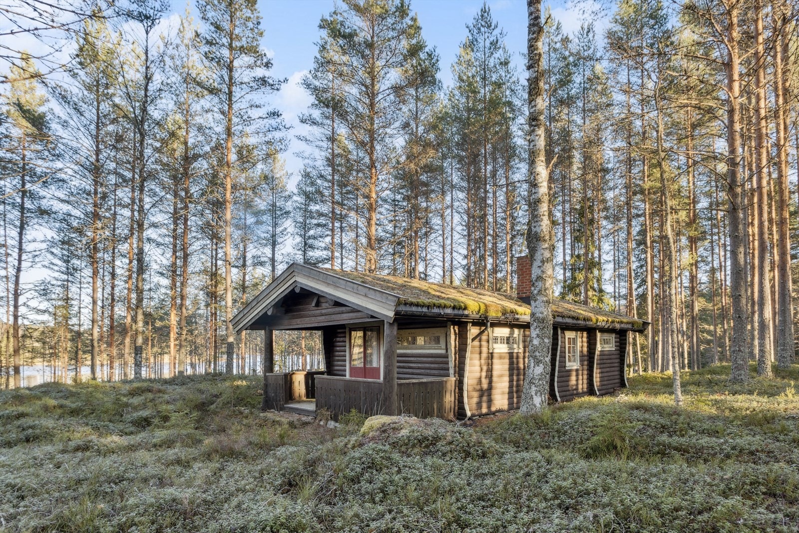 Velkommen til Gravbergsvegen 850! Foto: Elisabeth Gjerdingen Galleribilde