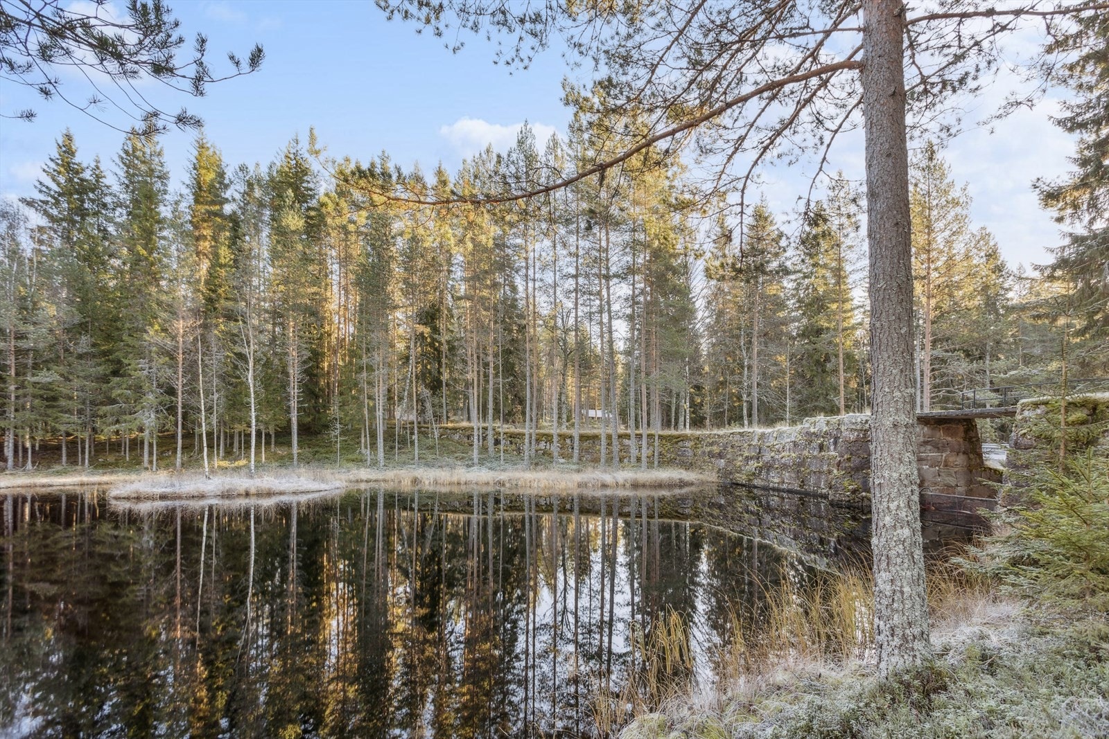 Nærområdet byr på vakker og variert natur. Galleribilde