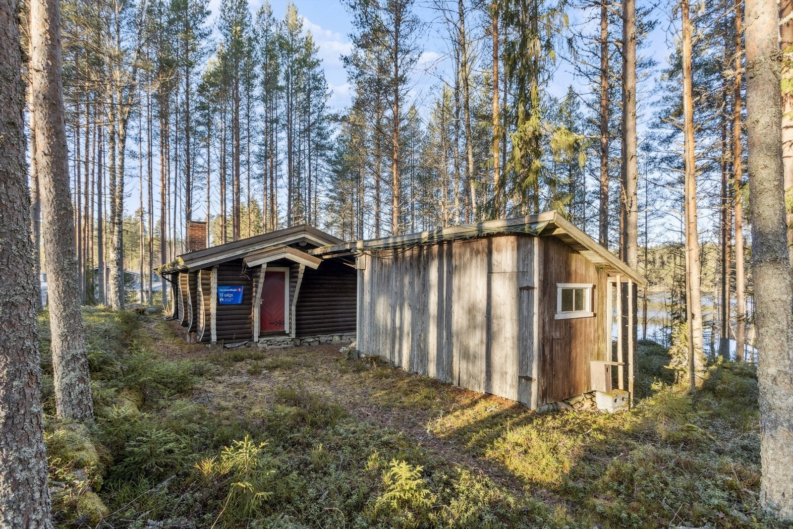 Hytta glir godt inn i det omkringliggende terrenget. Galleribilde
