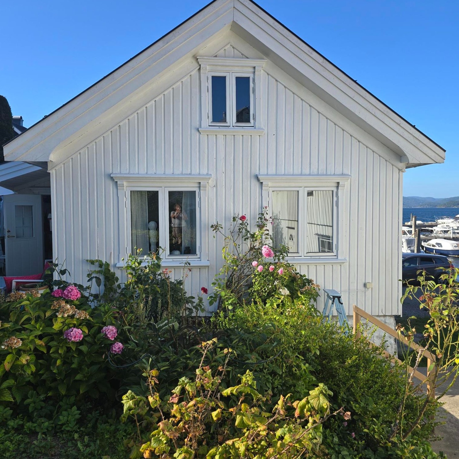 (Selgers private bilder) Galleribilde