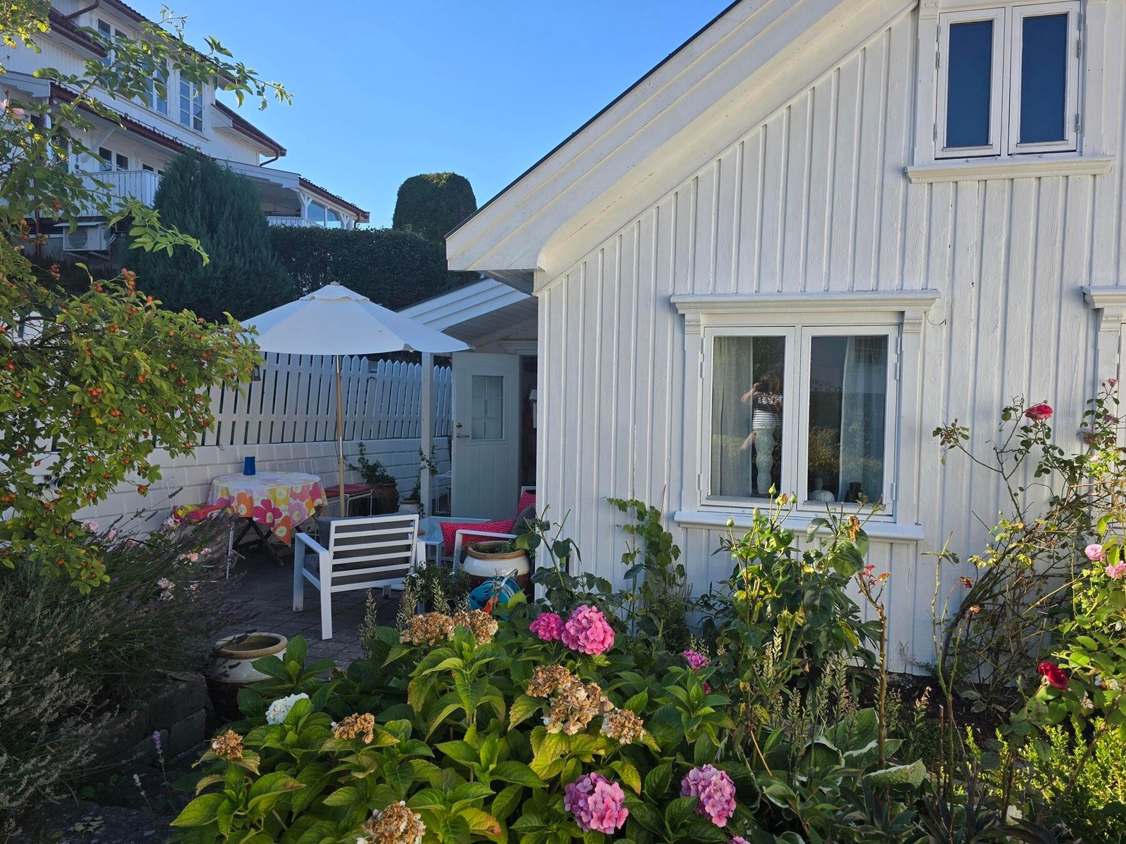 (Selgers private bilder) Galleribilde