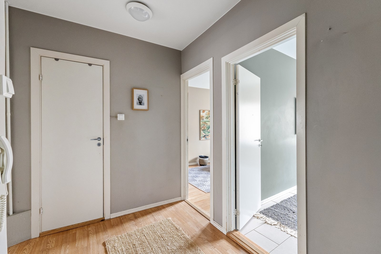 Inngangsparti. Galleribilde