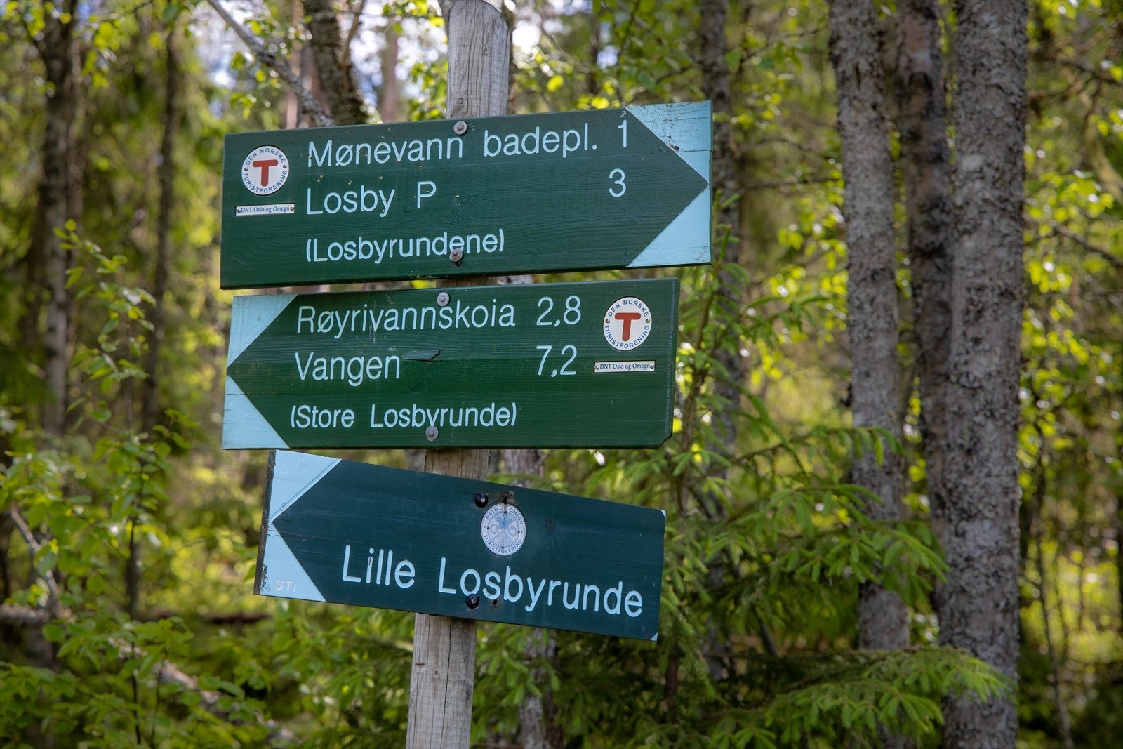 Losby er Lørenskogs naturlige utfartssted og portal til Østmarkas populære natur- og friluftsområder.jpg Galleribilde